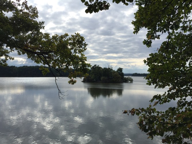 Carp Lake Trebon Czech Republic