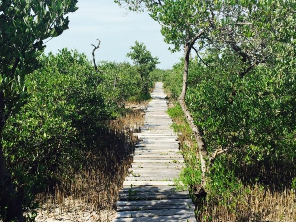 Catching Up from Belize (February&nbsp;2015)