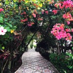 Perfect Belize Itineray