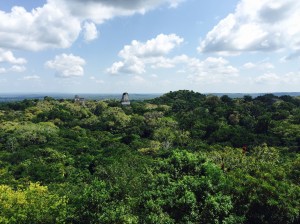 Tikal Guatemala 