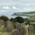 robin hood bay8