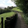 SWALEDALE RIVER VALLEY&nbsp;feature
